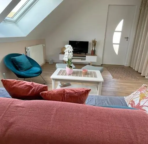 Cosy Sous Les Toits Apartment *