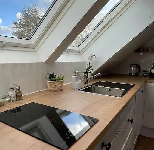 Cosy Sous Les Toits Apartment *